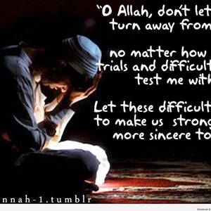 Meet your Posher, Hamdi